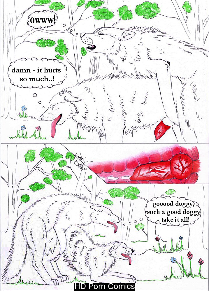 [Feral Fur] Mixxiwuff/Moonlightpaw: Balantes Tueri 013
