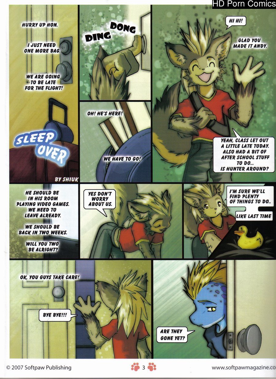 Sleepover 001