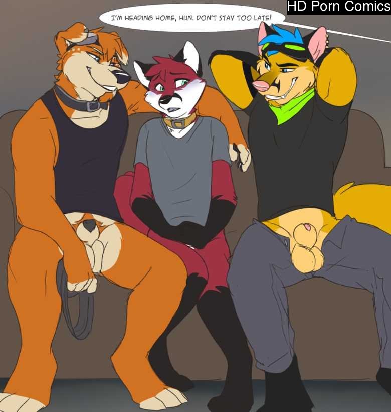 A Fox's Night Out 001