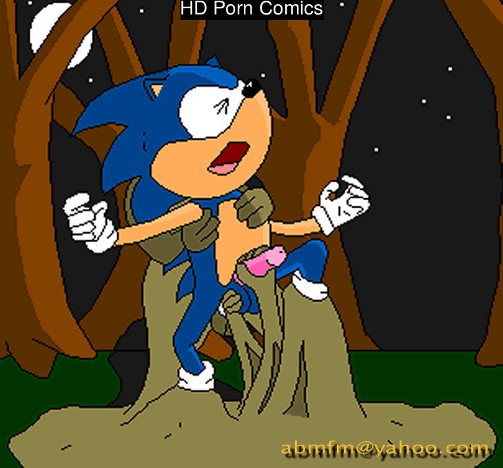 Sonic Yaoi 178