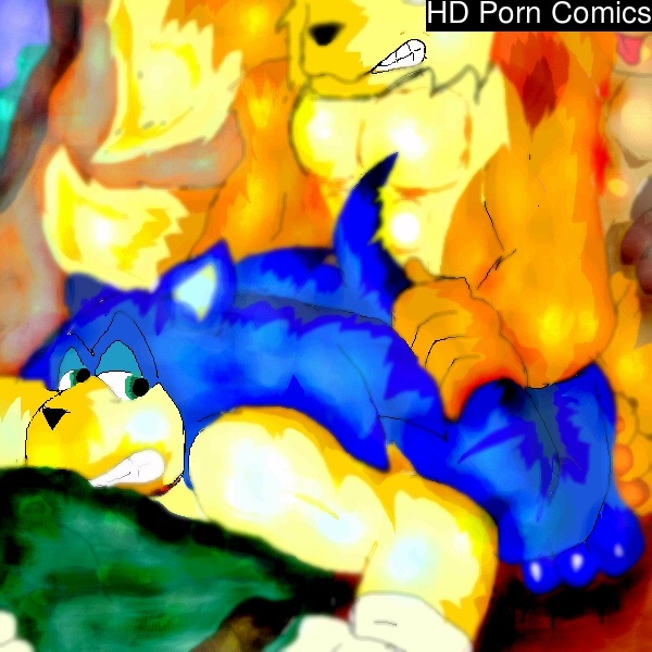 Sonic Yaoi 196