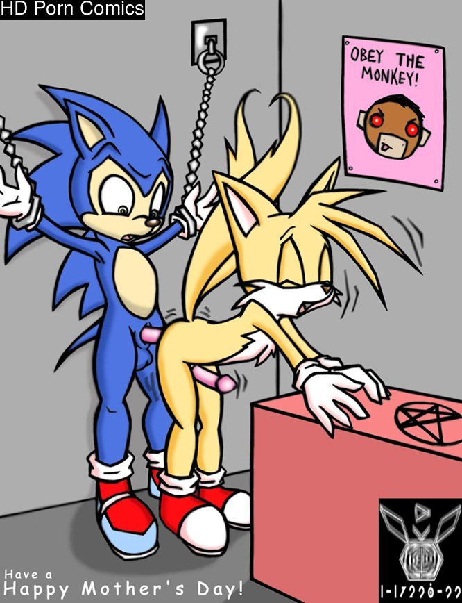 Sonic Yaoi 233