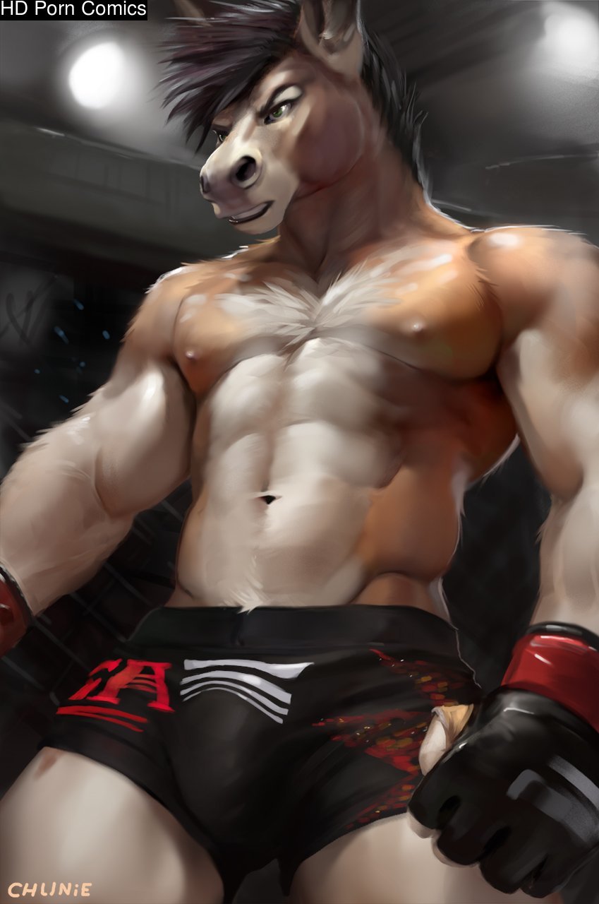 hentaï furry - chunie 344