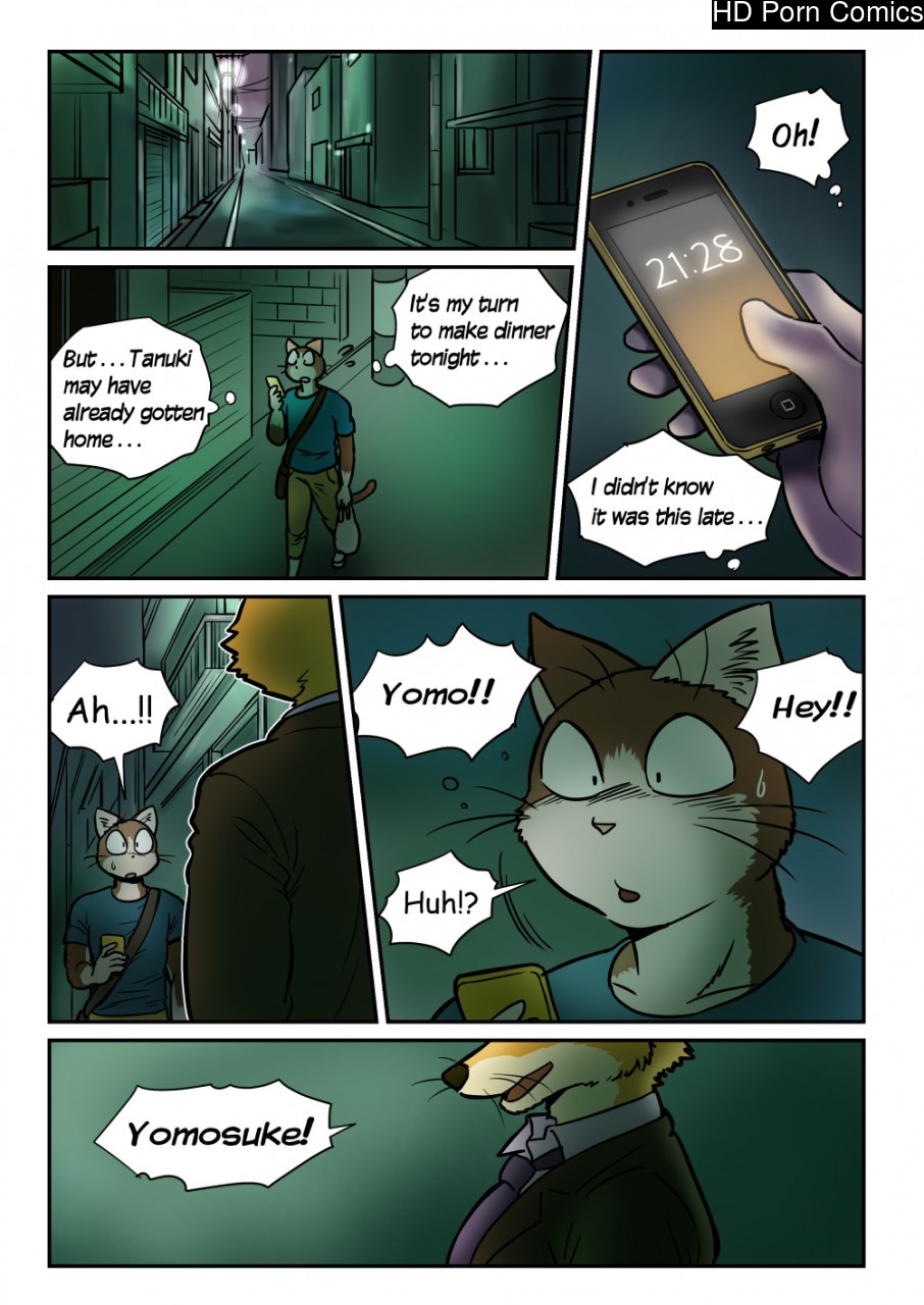 Neko x Neko 2 - Fox and Cat 002