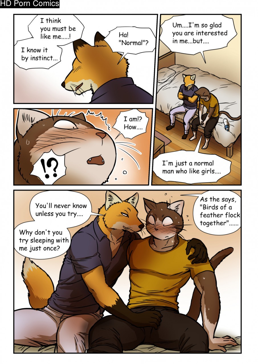 Neko x Neko 2 - Fox and Cat 011