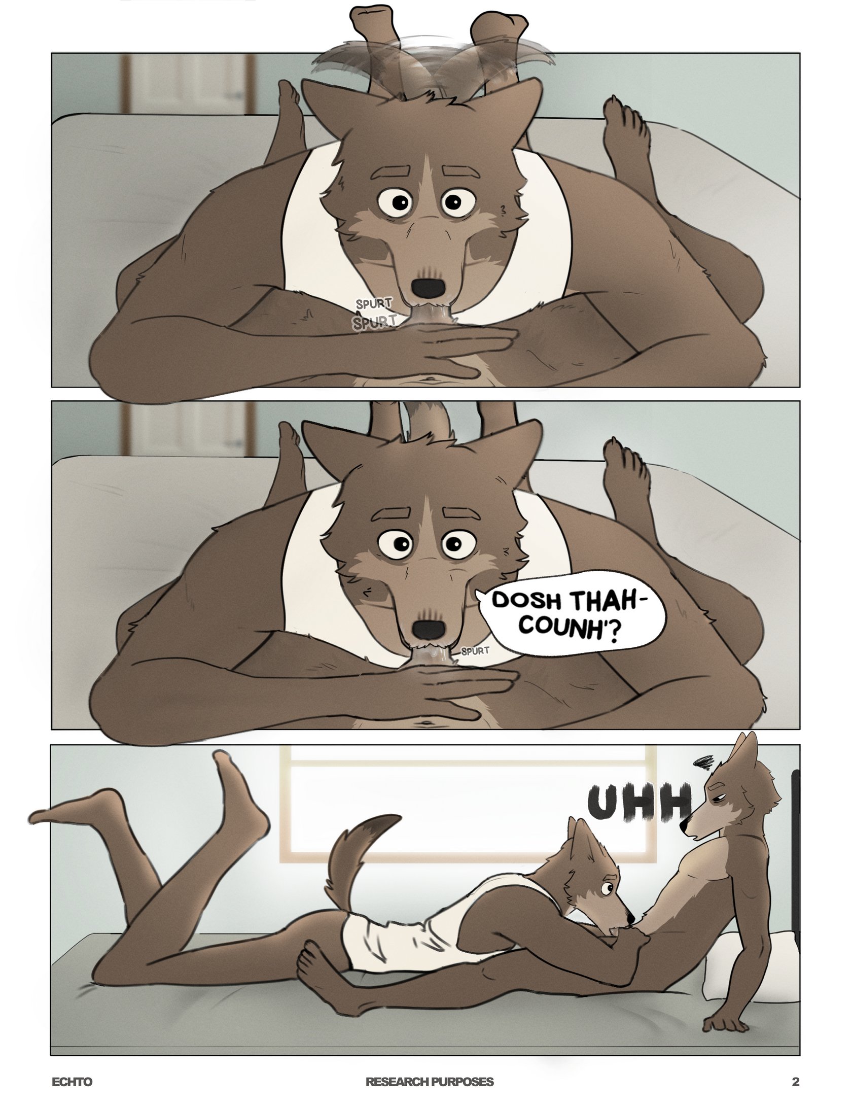 Research Purposes 002