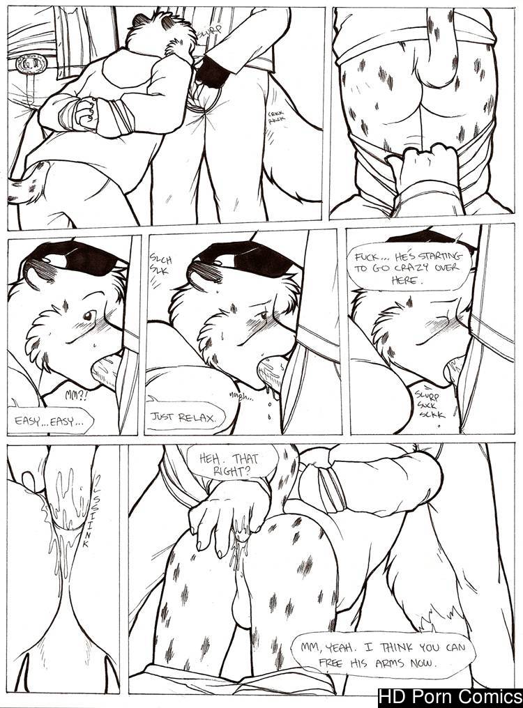 Rough Rider [Meesh] 010