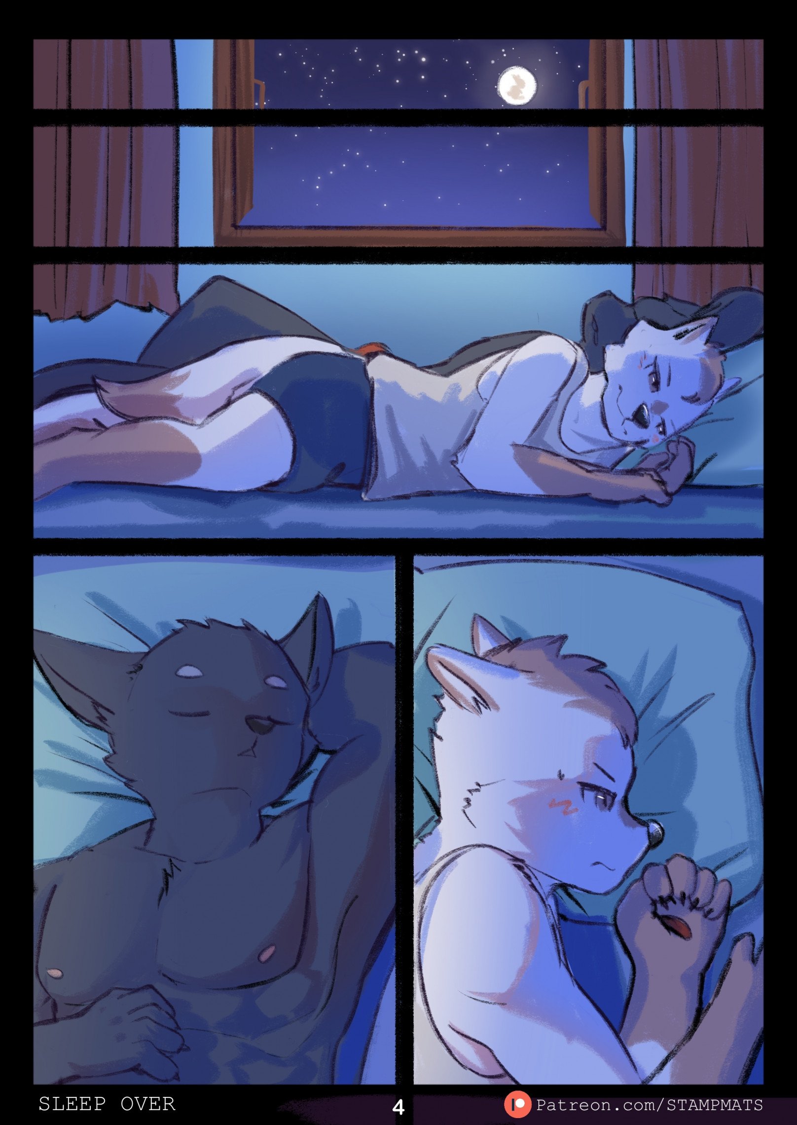 Sleep over 005