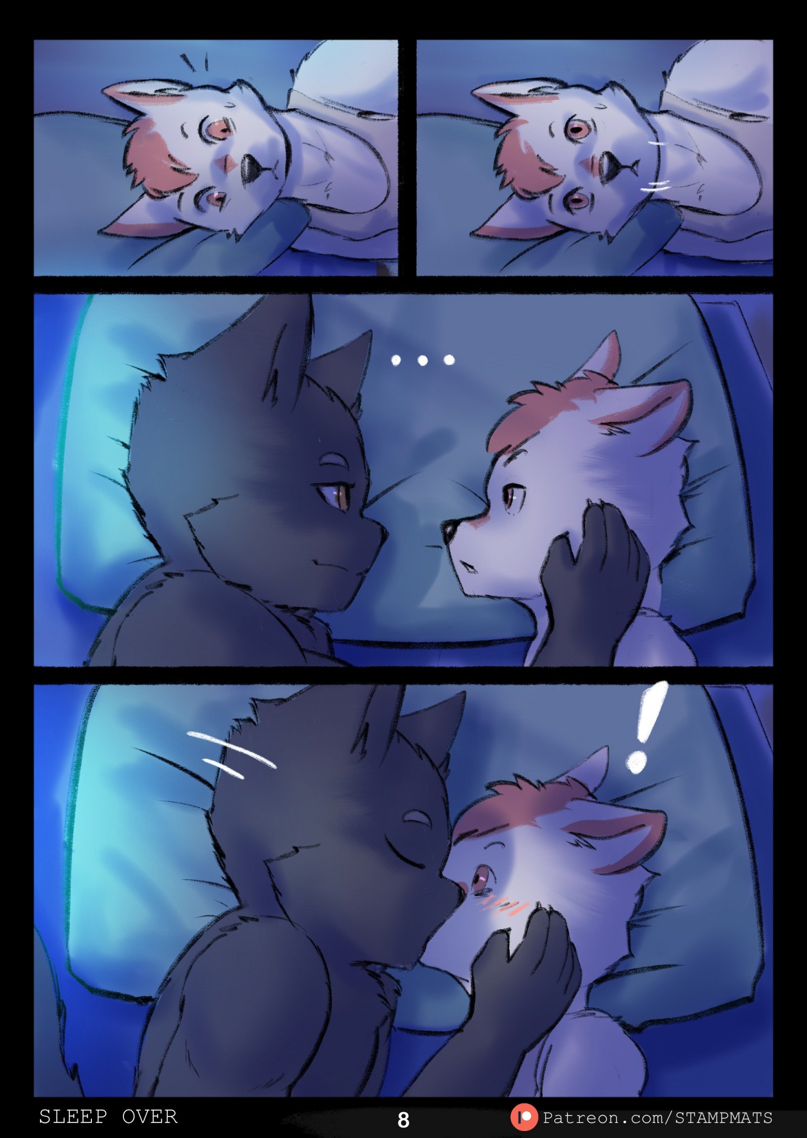Sleep over 009