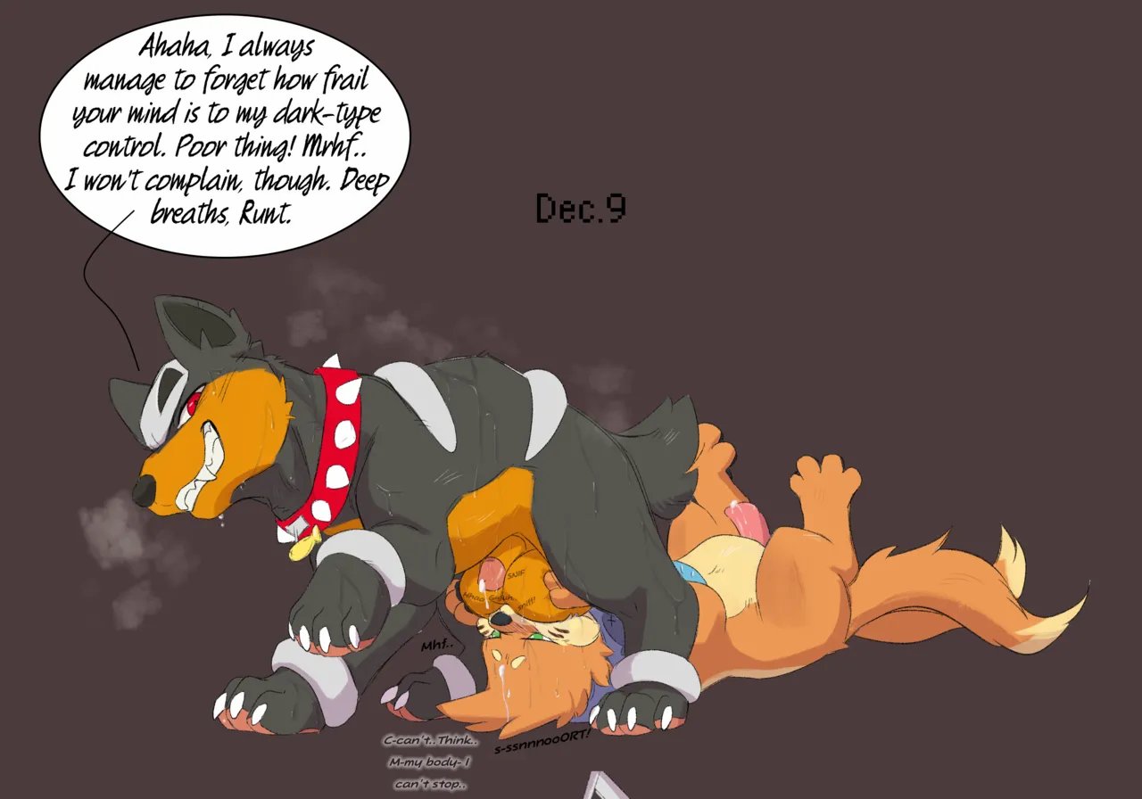 Dogcember 010