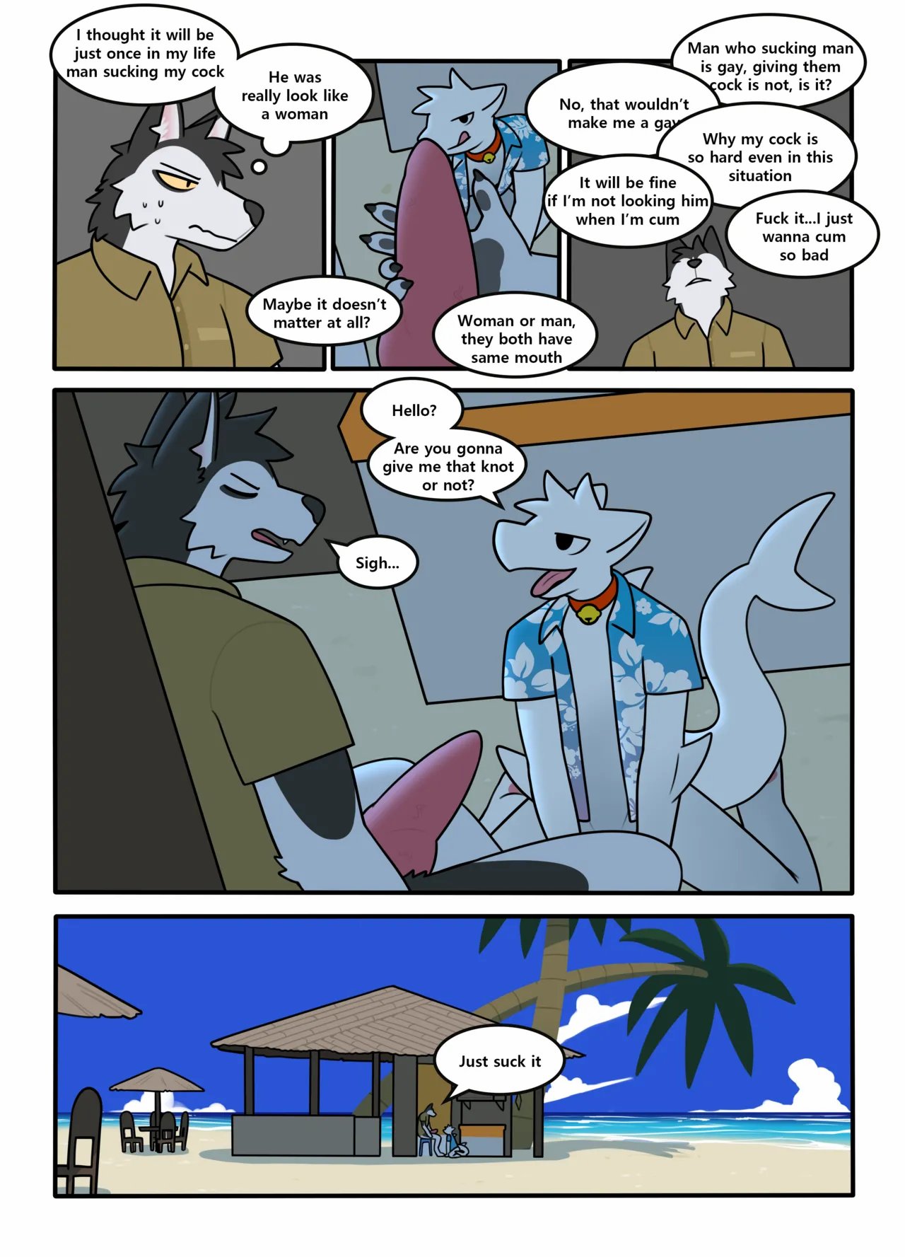 Cocoshark 2 006