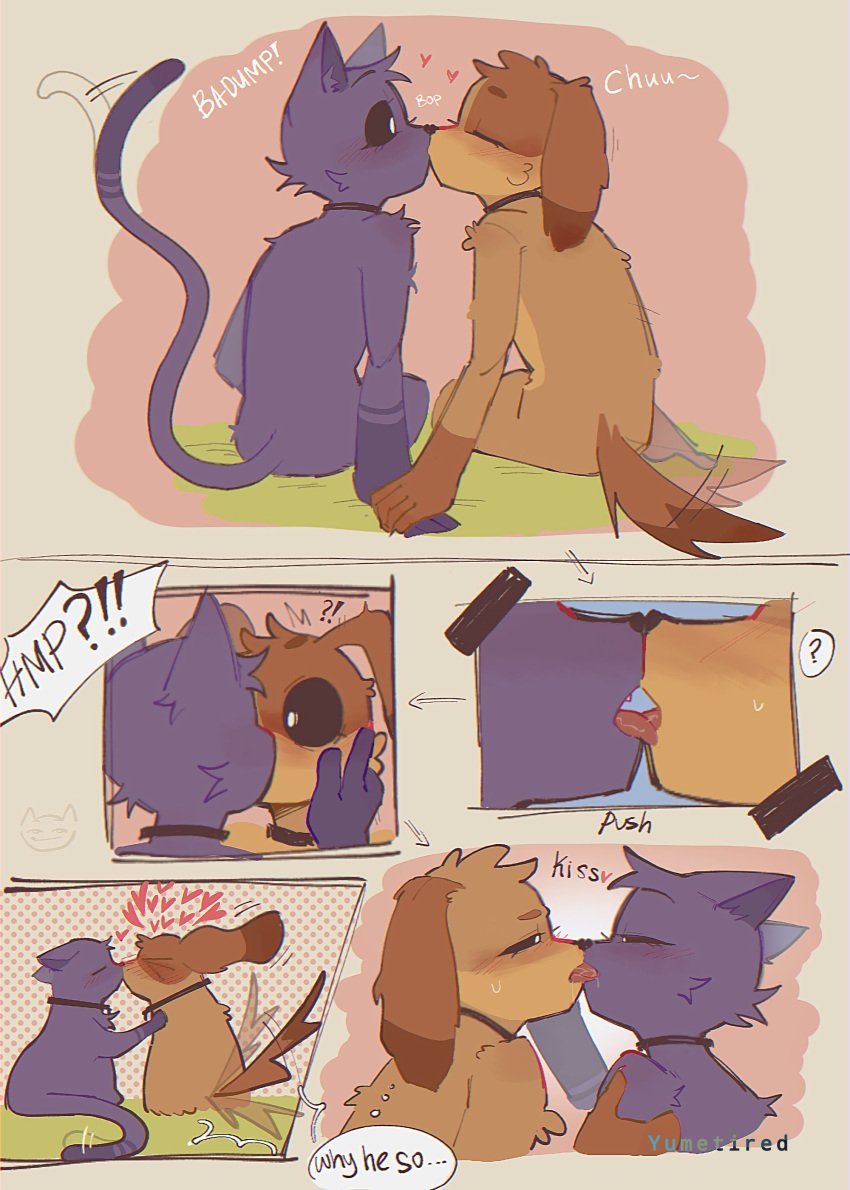 a good night of catnap It is dogday 001