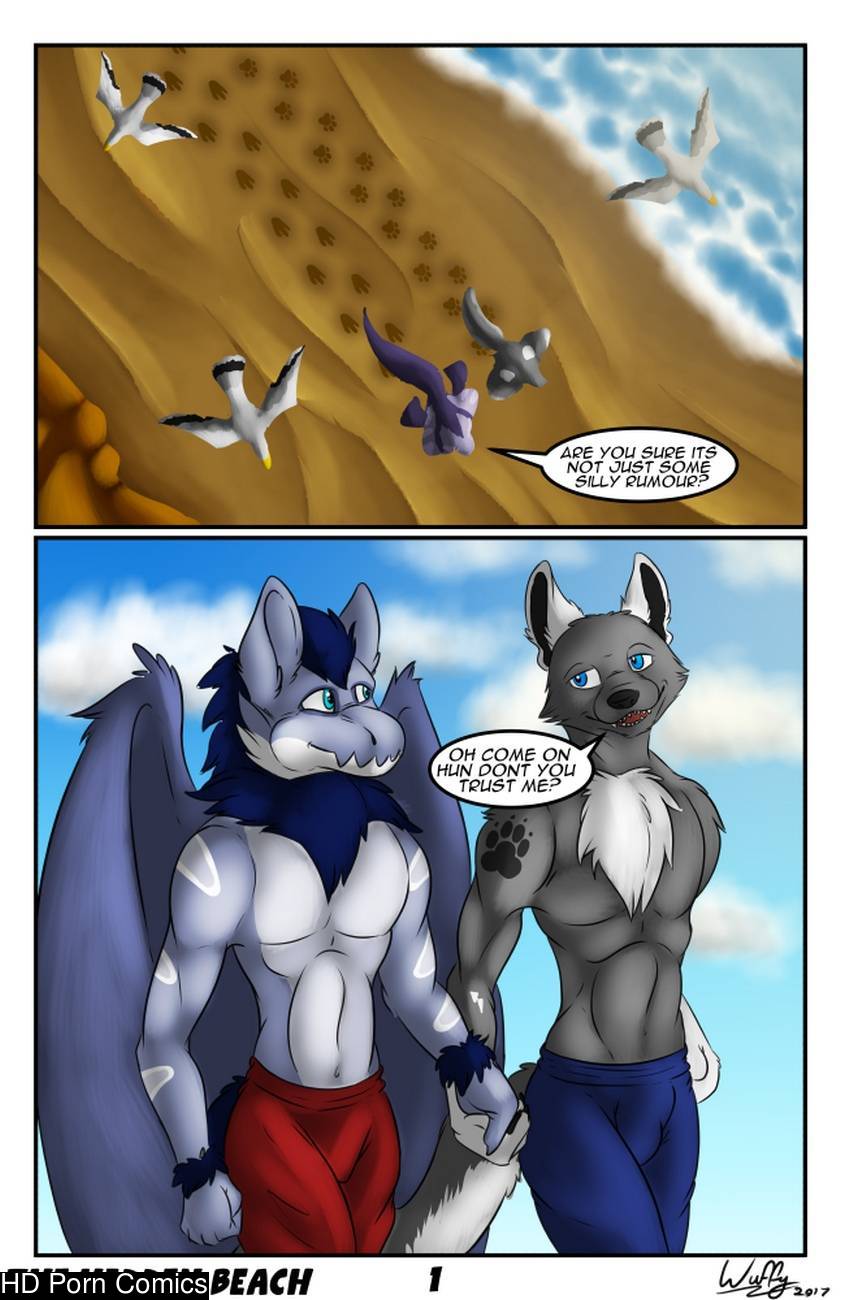 The Hidden Beach 001