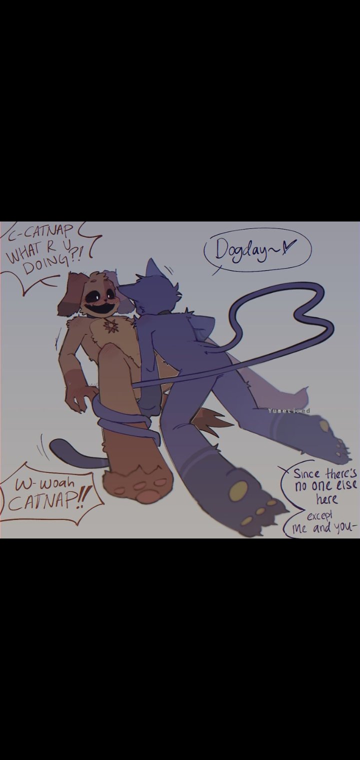 a good night: catnap It is dogday 001