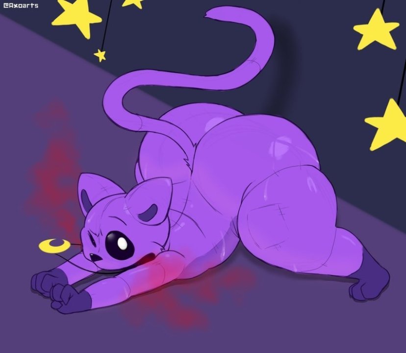 Cat x dog 001