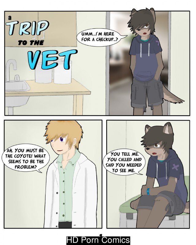 A trip to the vet 001