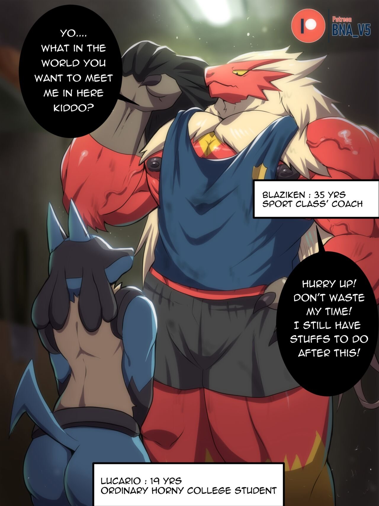 bna v5 blaziken x lucario 001