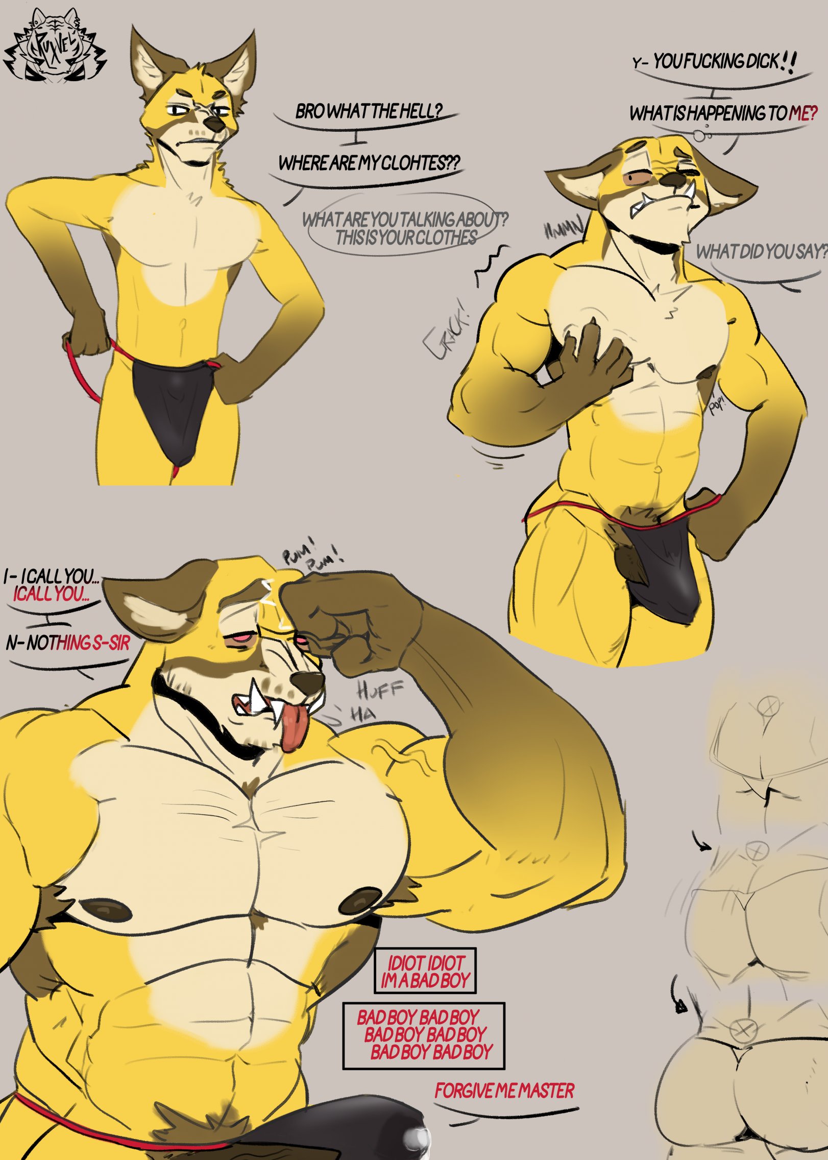 Silly Fox 001
